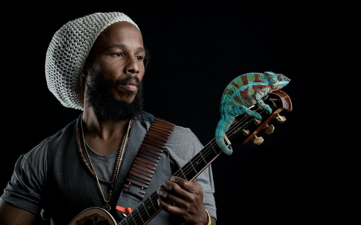 Ziggy Marley #ziggymarley #artist #Reggae #rootsrockreggae #music.