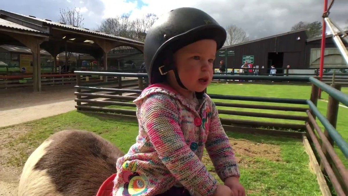 TinBoxTraveller's tweet photo. *New video* #EasterinDevon with @DevonTopDaysOut - adventure park fun and a visit to the farm https://t.co/2uuPLacB8P #DevonEggHunt https://t.co/CW1ExiGn1B
