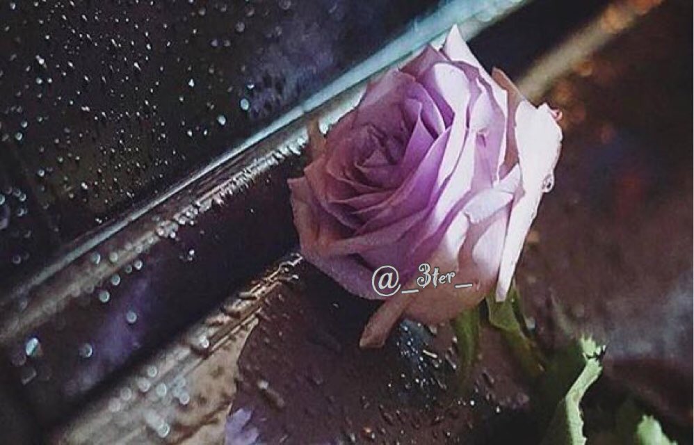 ㅤ 
في زحمة الحياة
نحتاج إلى عناق بلا سبب وورده بلا مناسبہ
ورساله لطيفّہ تجعلنا نبتسم 💜🕊..