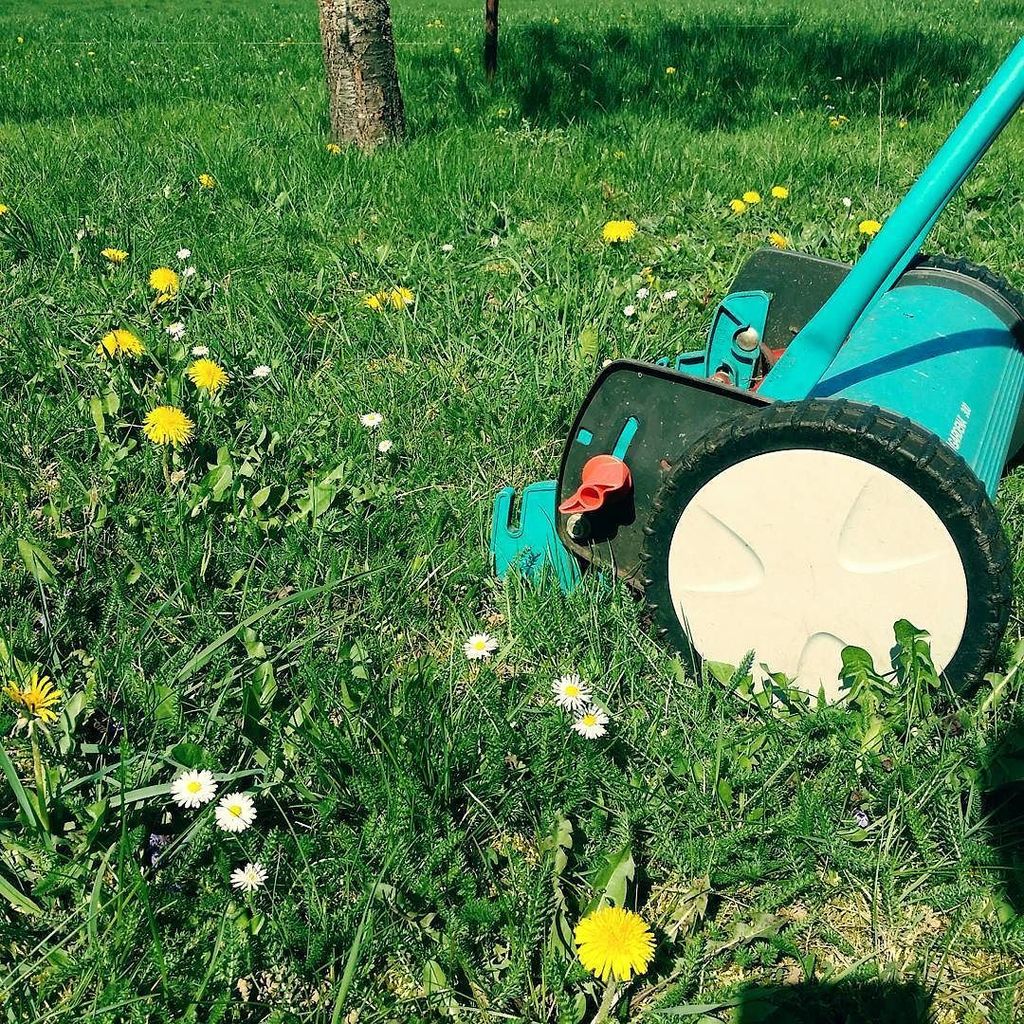 DVremix's tweet photo. Allez hop, au boulot ! 🌼

#spring #garden #gardening #lawnmover #lawnmoving #jardin #pelouse #tondrelapelouse https://t.co/BKlFM86XqK https://t.co/Gh80q2DIsp