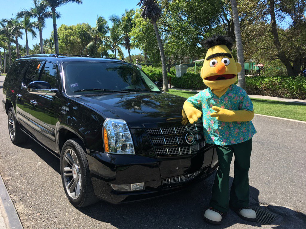 TheteamVip's tweet photo. Good Morning! #Bert #sesamestreet #beaches #turksandcaicos #rideclassy https://t.co/xQEIoG5Z7e
