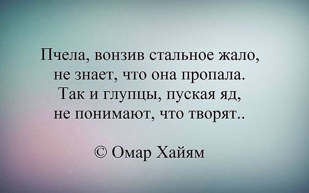 Мудрость веков (@delaisam) on Twitter photo 