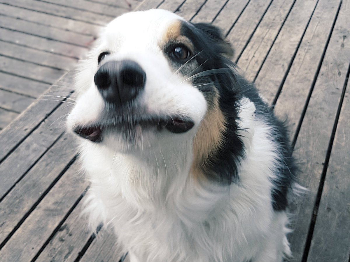 borderKyle's tweet image. Making silly faces at mum 😉 she likes it! 
#sillyface