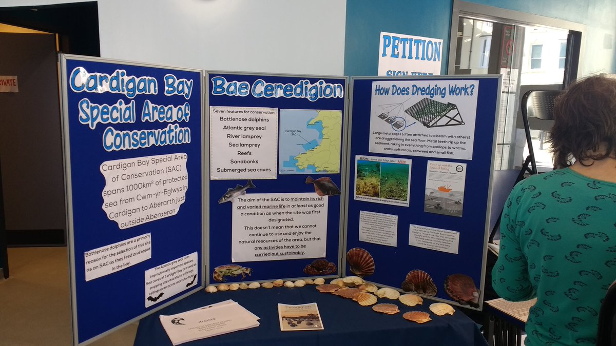 Aber Sustainability tweet media