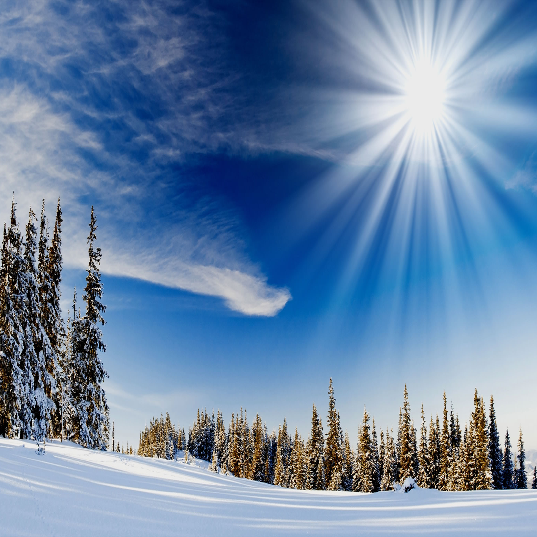 vazefloral's tweet photo. Winter.
#floralstreetwear #naturelovers https://t.co/yfemViMSKL