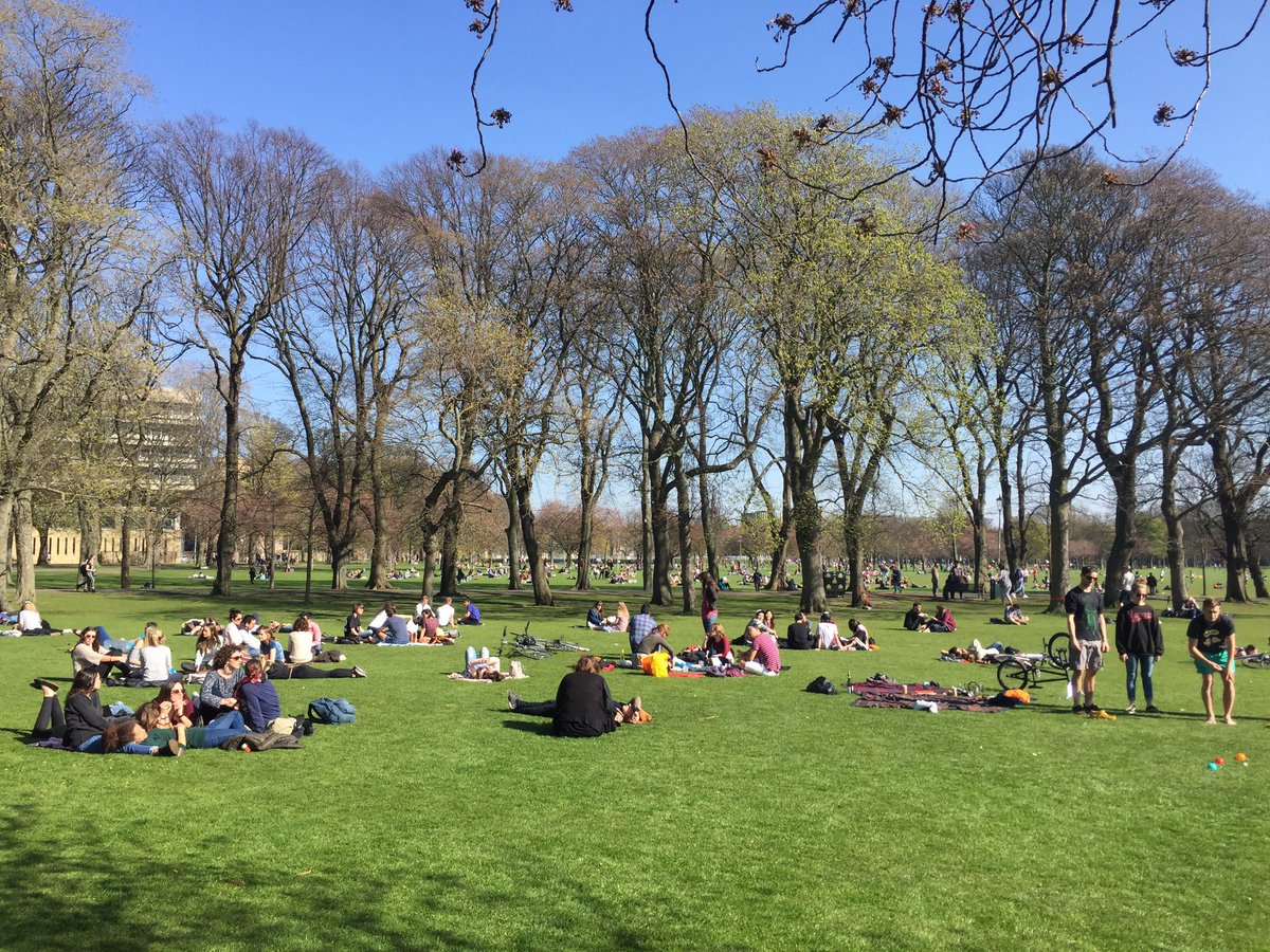 Lazy afternoons, Green space in the summer. #meadows