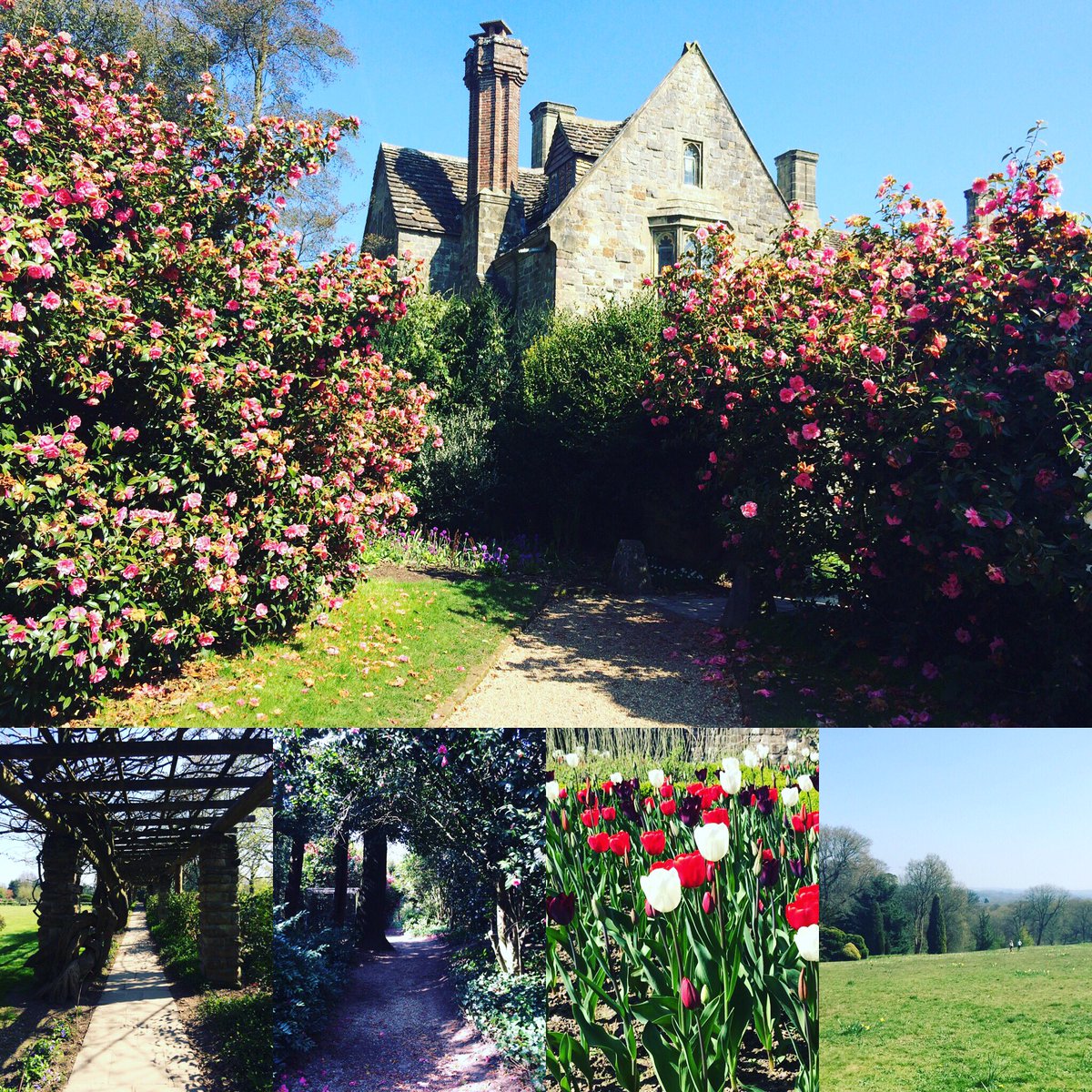 Trailsplorer tweet media