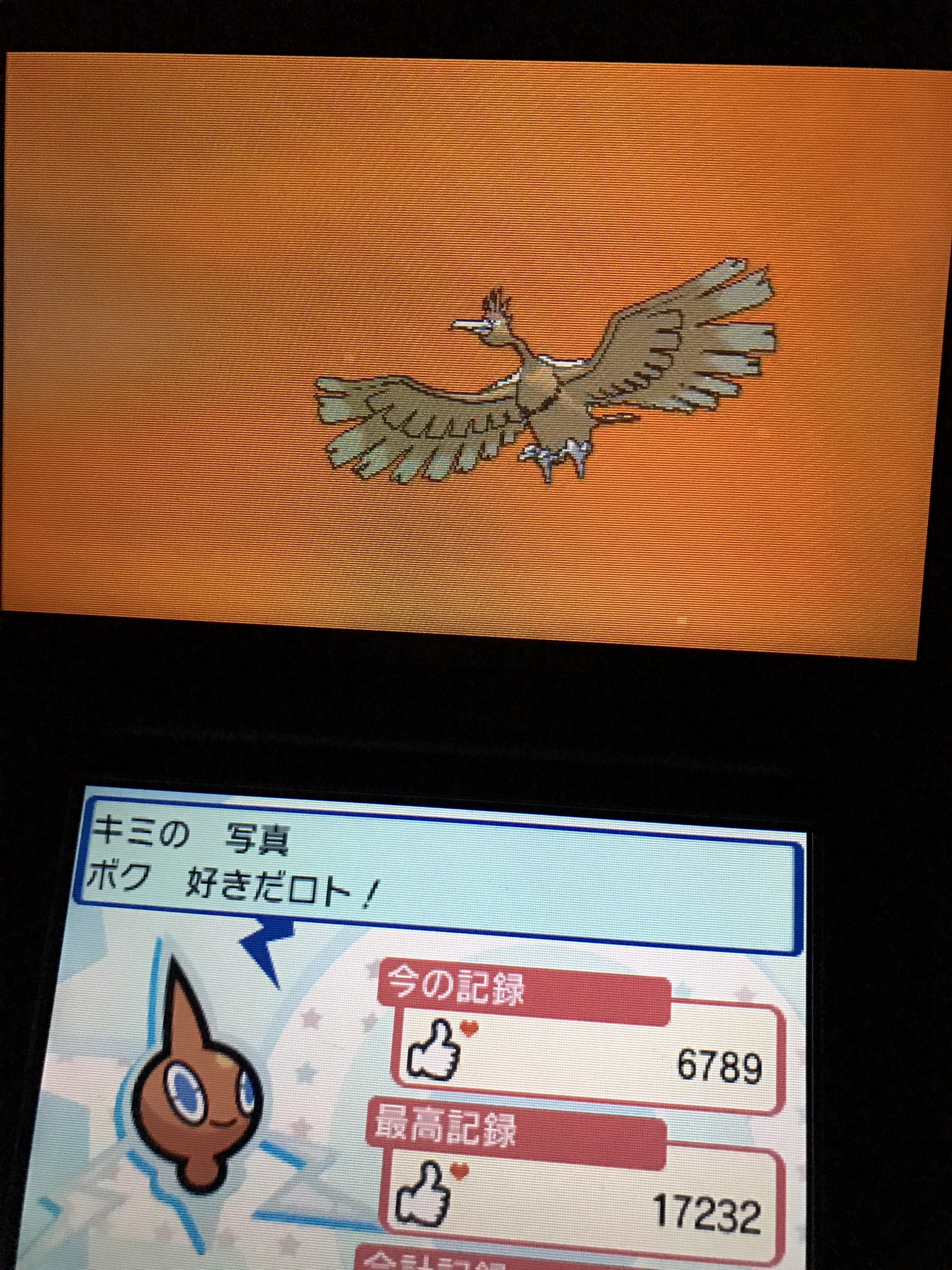 きゅにポケファインダーシーズン2 Twitter Search Twitter