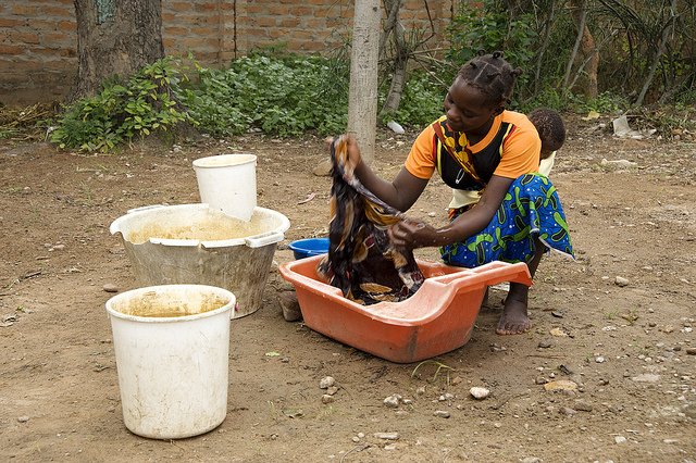 Prof Judith Hall OBE tweet media