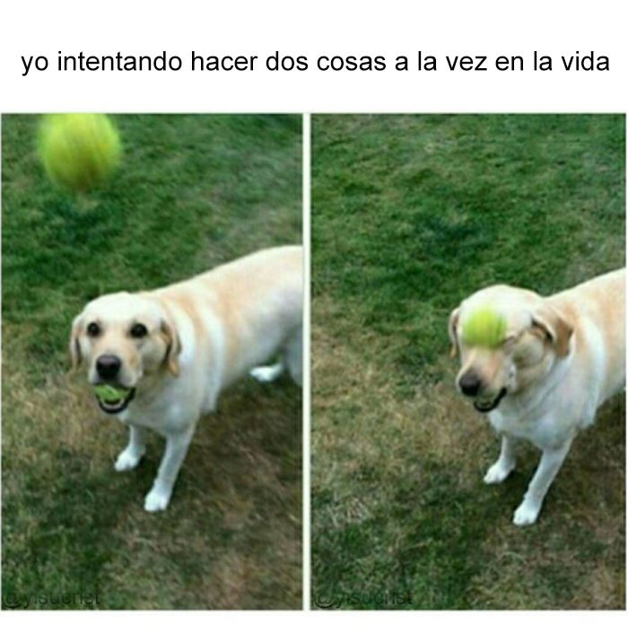 yisucrist's tweet photo. puta bida https://t.co/OzC81TZOX9