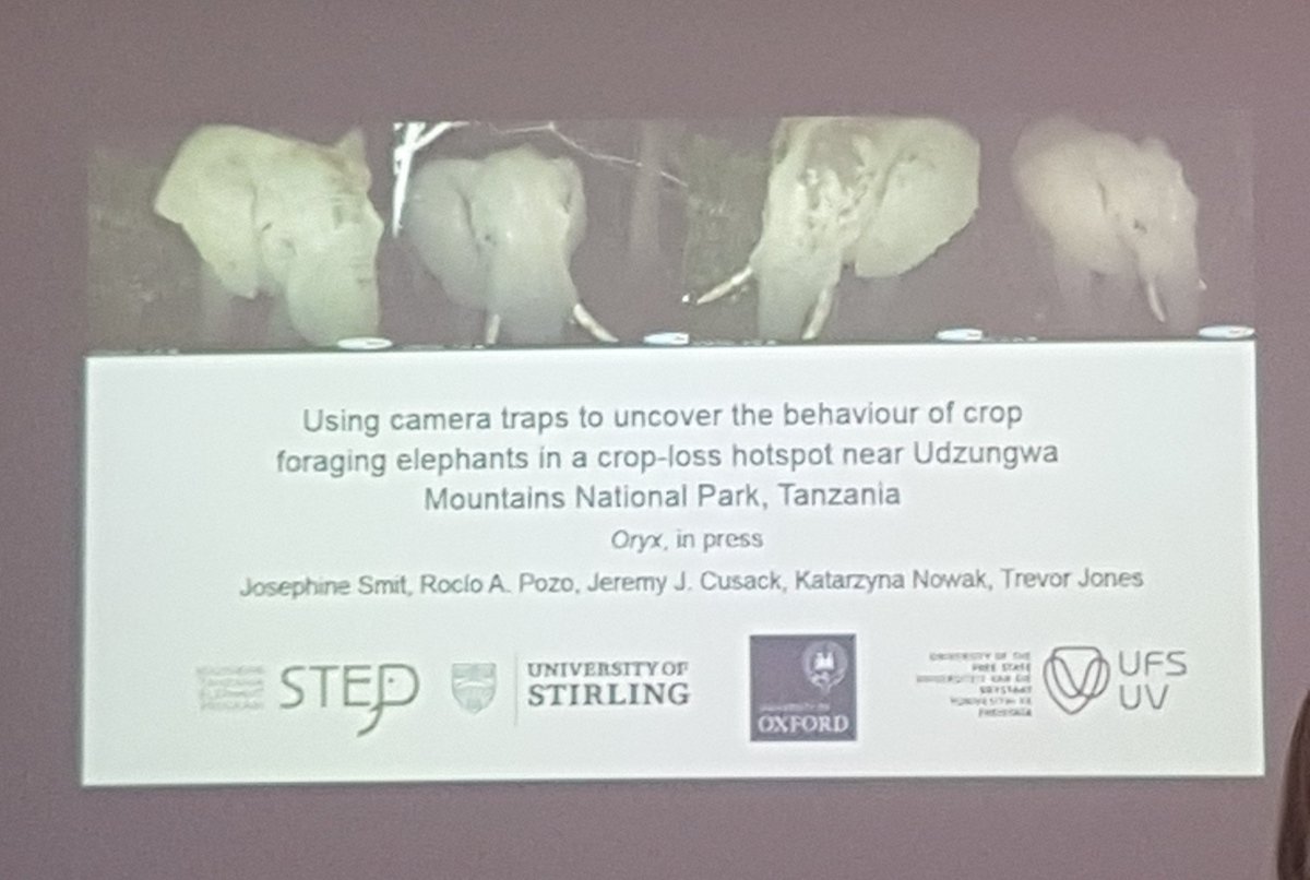 teac_stirling's tweet photo. @smitjosephine tells us about using camera traps to uncover the behaviour of crop foraging elephants in Tanzania #STEB https://t.co/kjApWvQWNY