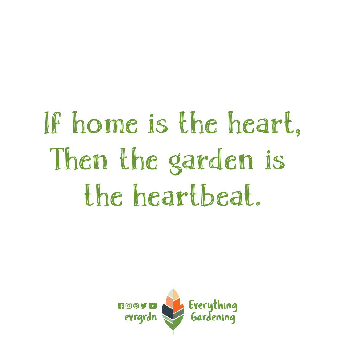 evrgrdn's tweet photo. Garden is the heartbeat.
#home #garden #heartbeat #gardening #quotes #garden #plants #trees #herbs #vines #nature #flora #evrgrdn https://t.co/JrkIjre7Np