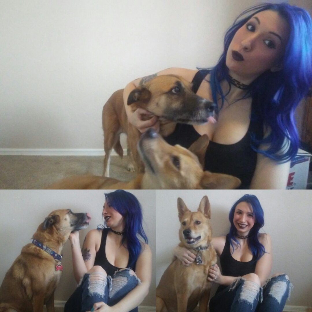that_rocket_gal's tweet photo. My furbabies
#furbaby #rescuemom #reacuedog #dogtweets #bluehair #altgirl #girlswithtattoos #tattoo https://t.co/Y7asmIyDcF