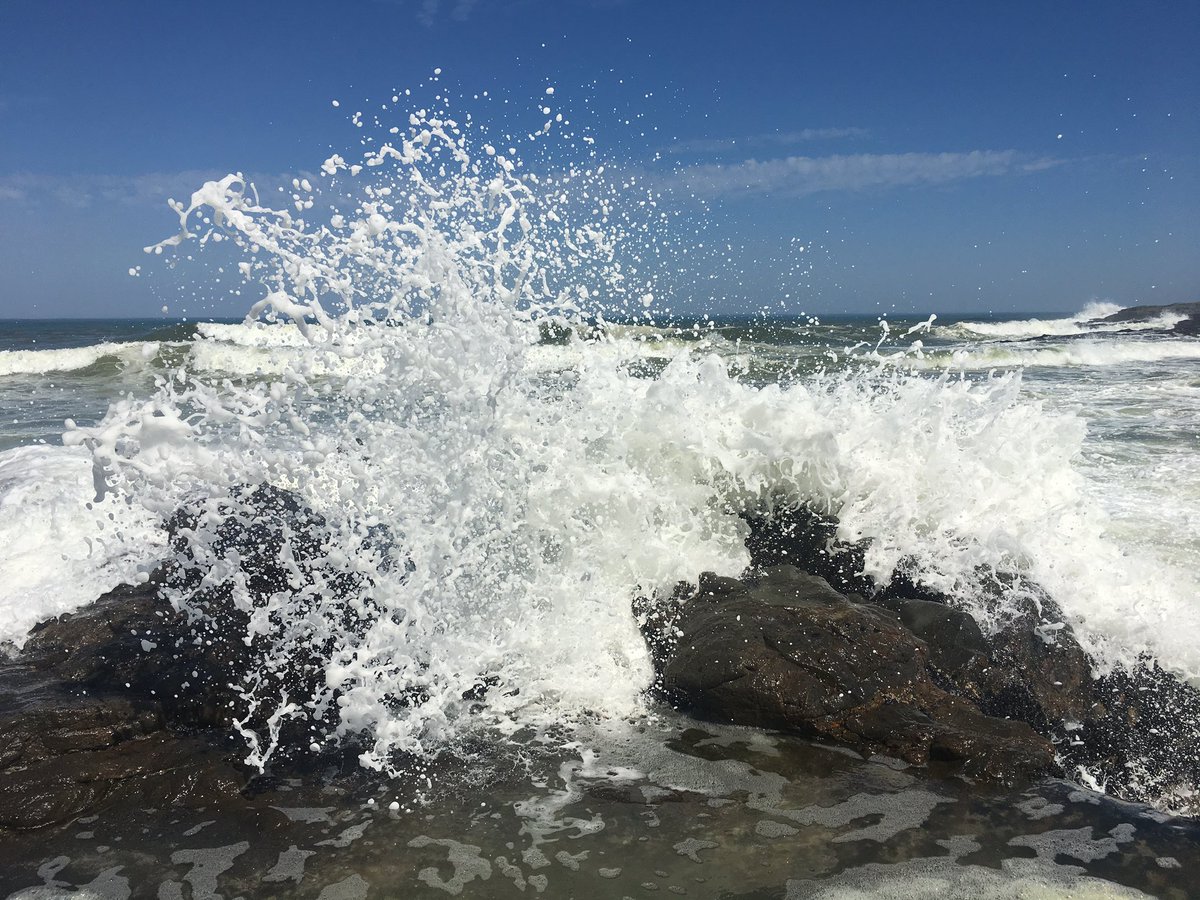 CavemanDiaries's tweet photo. #LoveCapeTown,#Yzerfontein https://t.co/qZoTtwk7Jl