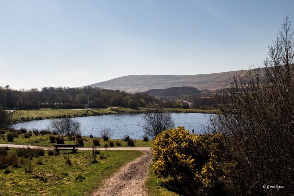 GBacchioni's tweet photo. #GarnLakes #Torfaen #lake #almostperfect_spring #awesome_earthpix #nature_sultans #landscape #canonuk #canon #eart… https://t.co/WAuDuEyjas https://t.co/nNB0sg1Fg8
