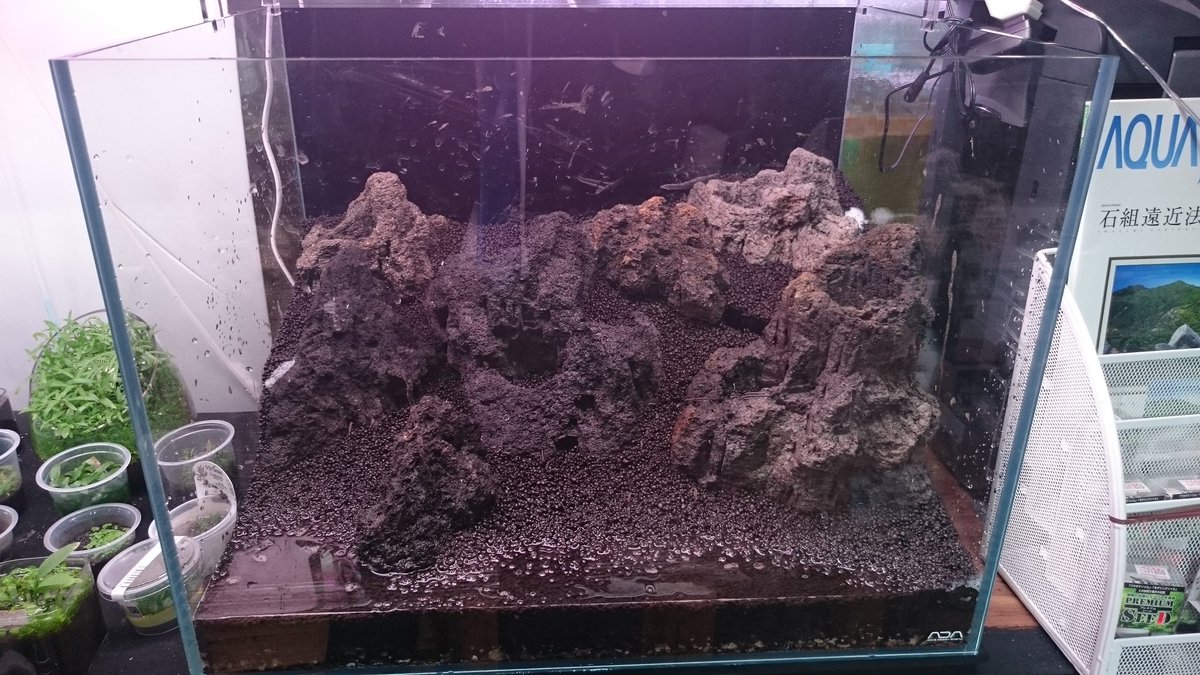 ユニアク Adaら部 新しくw600 D450 H450の水草レイアウト水槽を立ち上げたいと思います ๑ ㅂ و とりあえず雲山石を並べて見ました 水草を植えるのはいつになるかわかりません ってか フィルターを置く場所すらまだ決まってない ٥