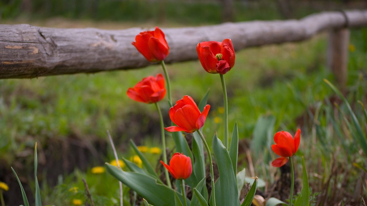 <a href="/KGfirefly/">Sea Firefly</a> Hi my dear friend,  Hoping your day is going wonderful with nice moments have a great saturday🌹🍃🌼🌷💐