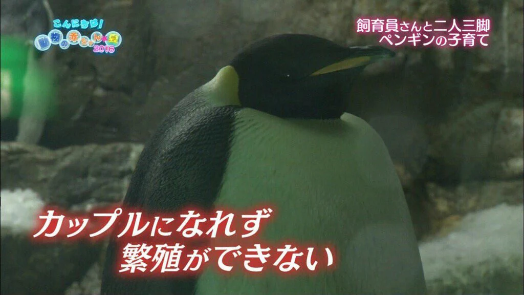 繁殖できない動物シリーズが話題www人も動物も同じですねwww