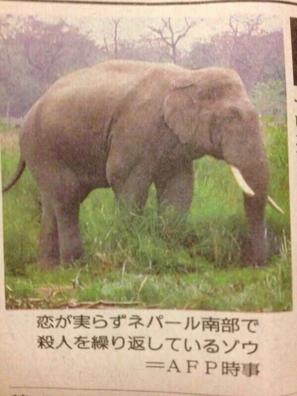 繁殖できない動物シリーズが話題www人も動物も同じですねwww