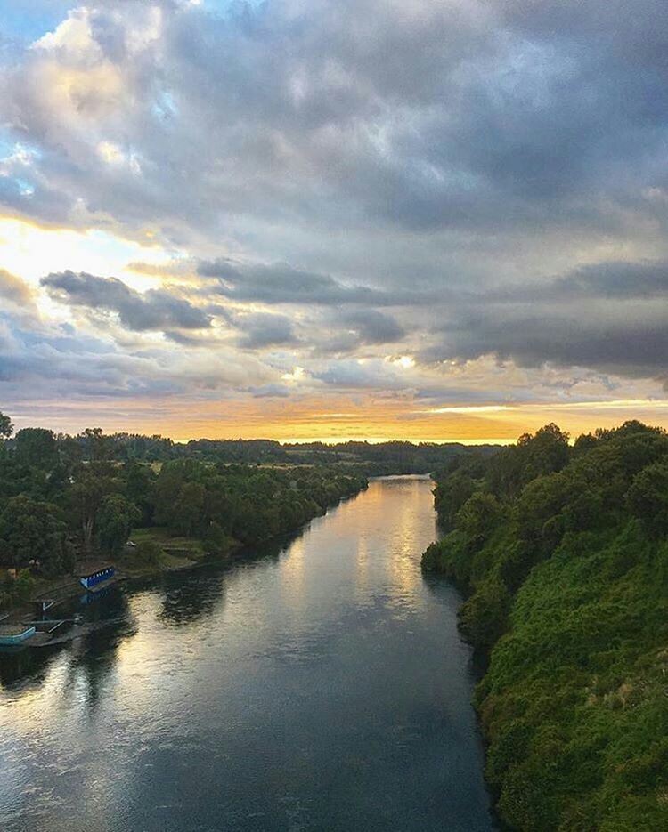 AChilepoh's tweet photo. Vía @descubrelosrios -  Toda la belleza del río Bueno
📷Foto de @maggybarto
🔵Encuentra este y otros panoramas en DescubreLosRios.cl #Descubr… https://t.co/8joYXfyOrc