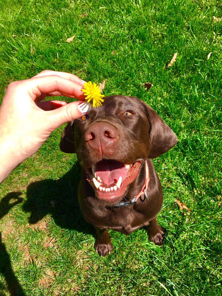 MLewtonn's tweet photo. we're ready for spring 🌸🌞 https://t.co/DrlZcOttbh