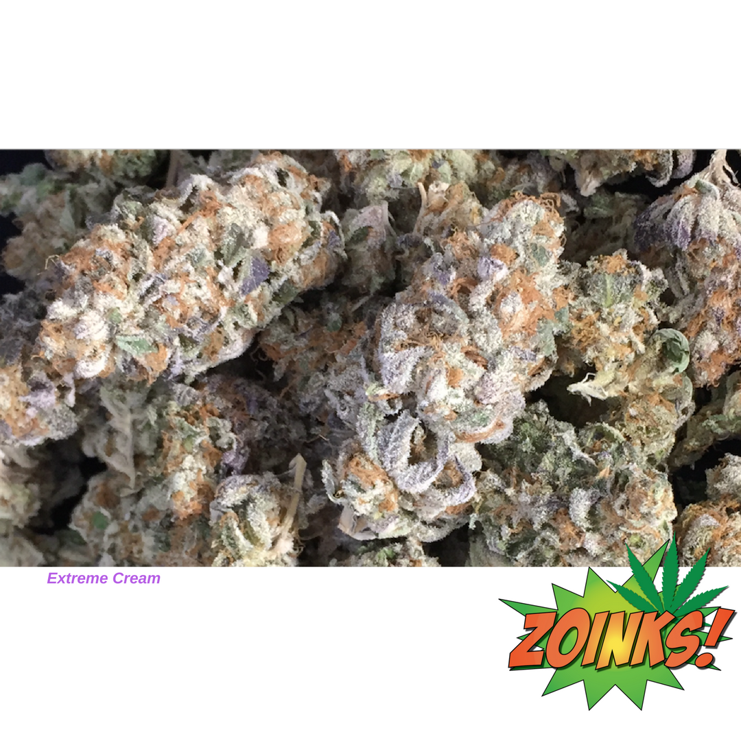 Zoinks619's tweet photo. NEW: Extreme Cream
619-484-6950
#sandiegoweed #maryjane #cannabis #sandiego #420 #sandiegodispensary #wakeandbake #ganja #prop215 #smoke https://t.co/5RZILRcTGM
