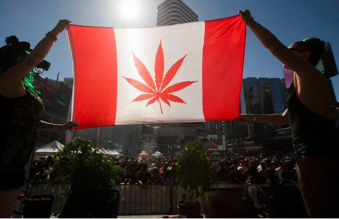 CannabisCulture's tweet image. Liberals Want to Move Up Pot Legalization to Avoid Canada Day Celebrations #Canada #Legalize #marijuana tinyurl.com/m2gx53v