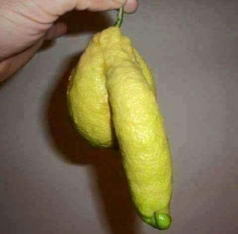MuratProgramc's tweet image. Limonatanın menbağı bulunmuş, doya doya için gari 😂