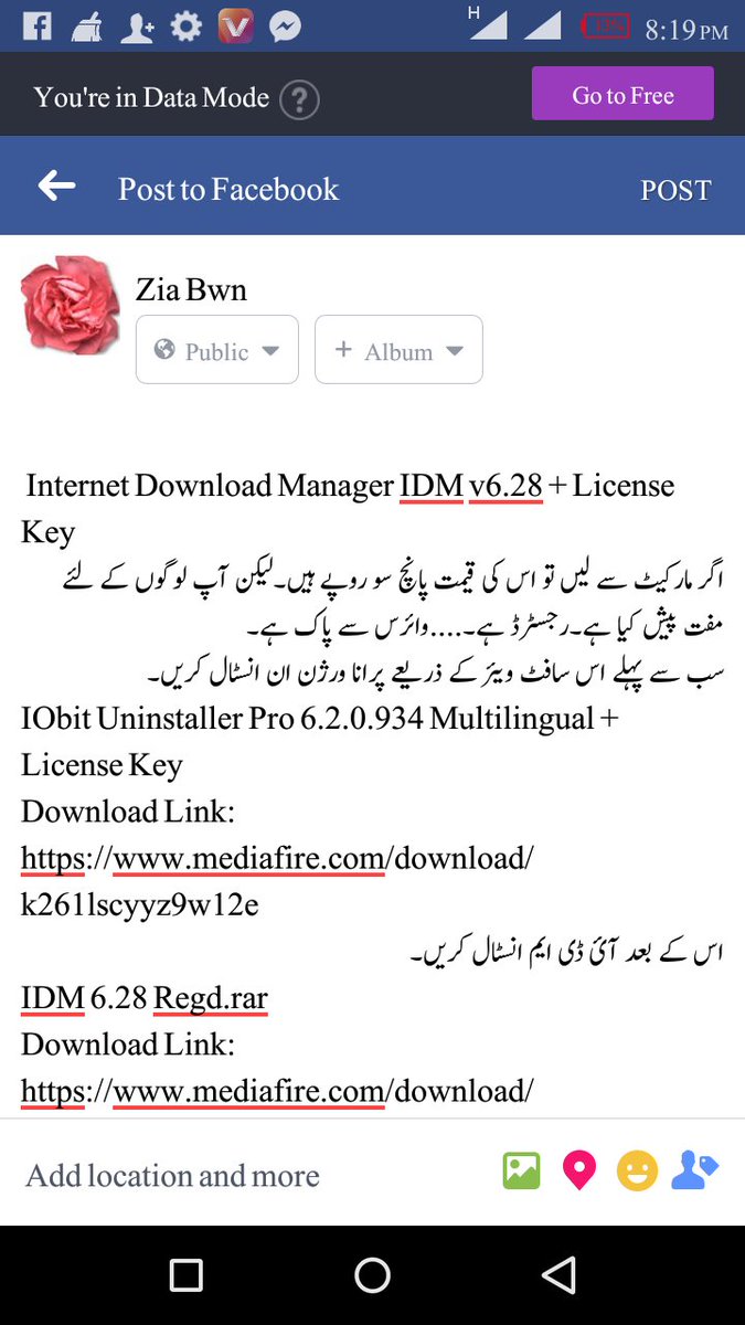 internet manager virus