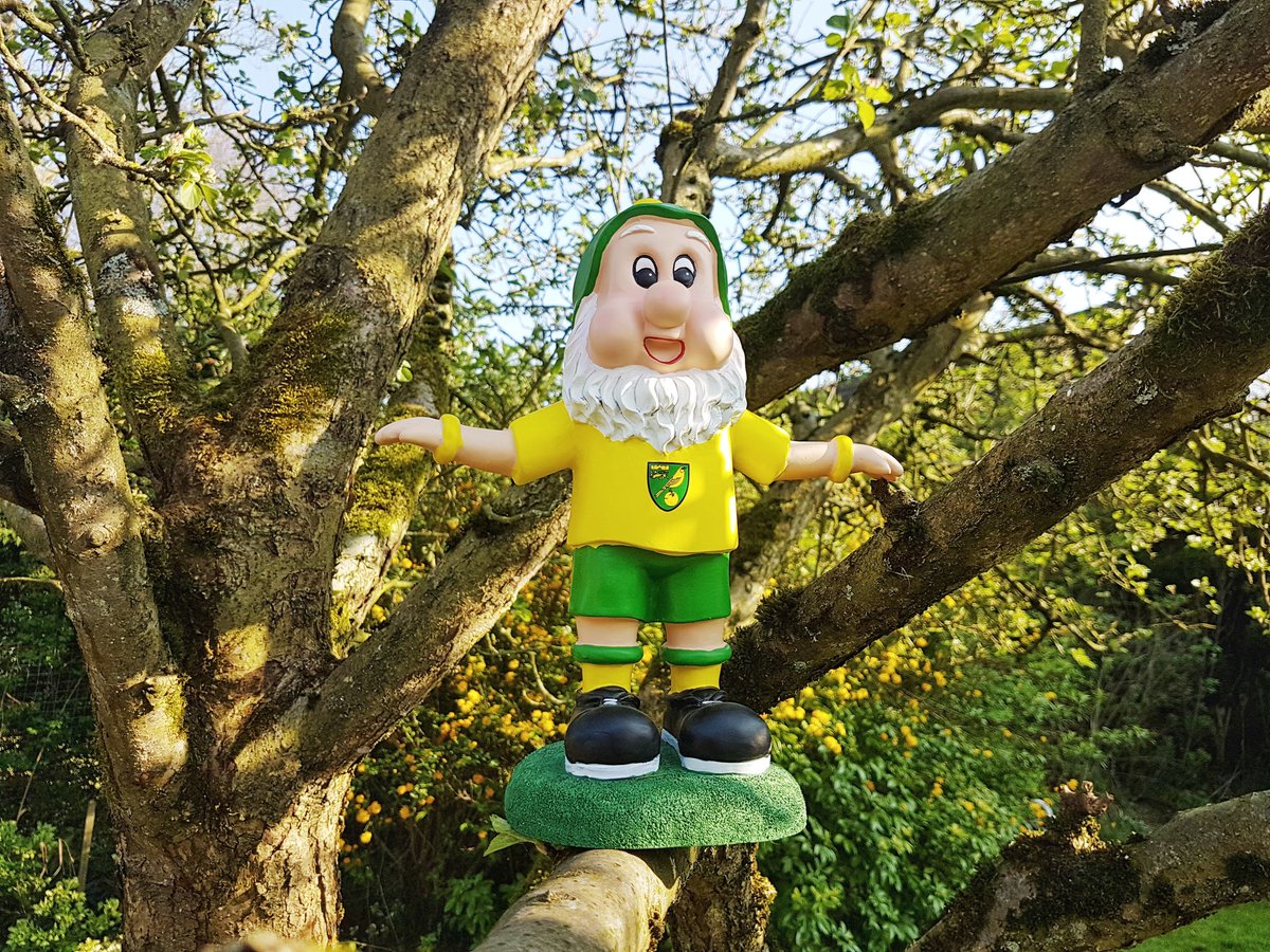 Emsy_Poos's tweet photo. One happy gnome #ncfc @NorwichCityFC https://t.co/vFpTYfbkiV
