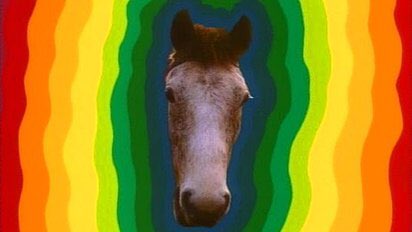 DougalMacGuire's tweet photo. Good luck to all the lovely horses in today's #grandnational https://t.co/5N49K1ojW4