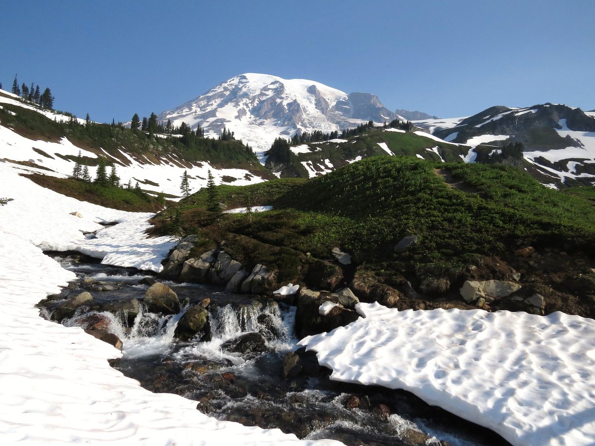 visitmtrainier's tweet image. Fee Free Weekends on April 15-16 &amp;amp; April 22-23 during National Park Week at Mt. Rainier National Park. ow.ly/kPjs30aEikH