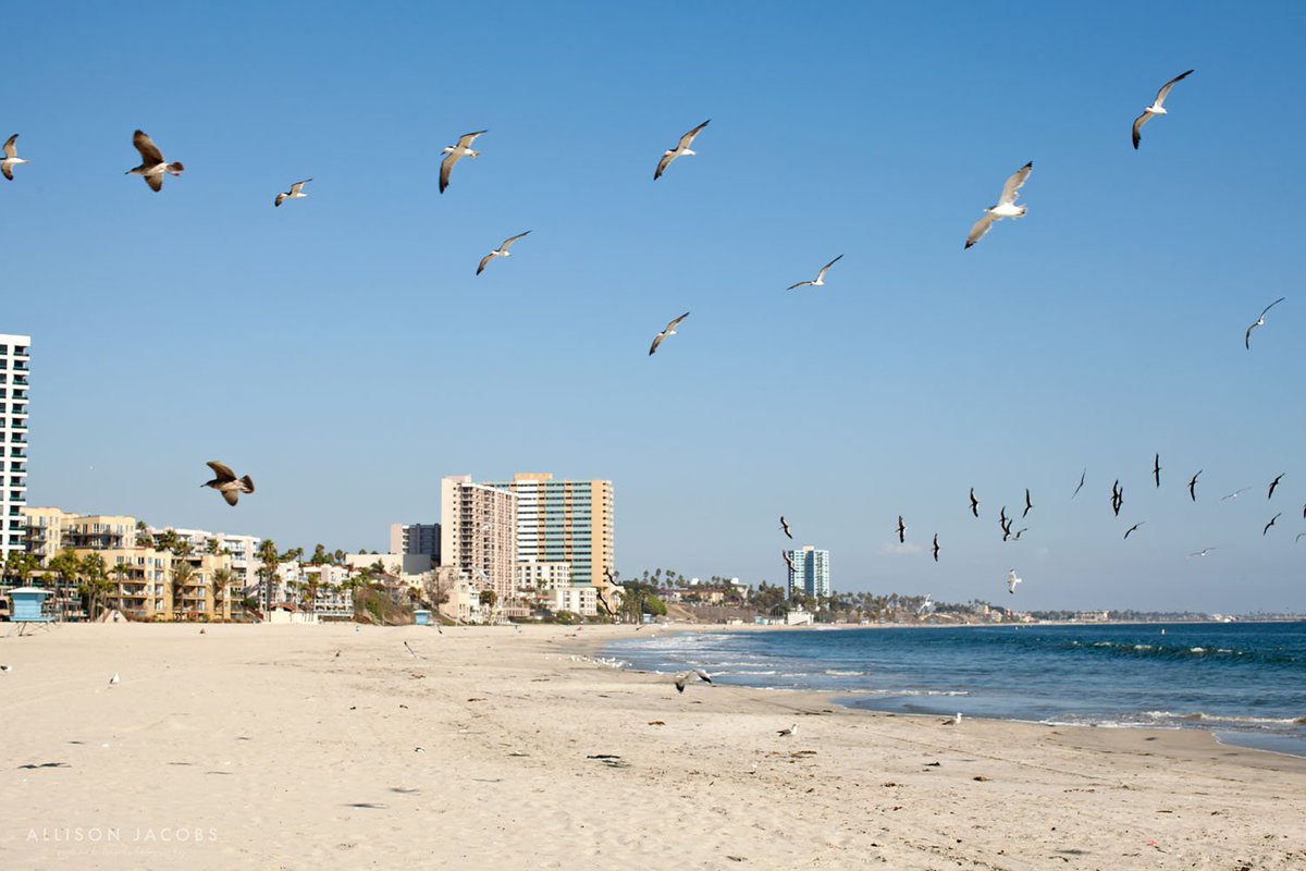 It's the weekend &amp; I hope yours is filled with sunshine! And maybe some beach time.