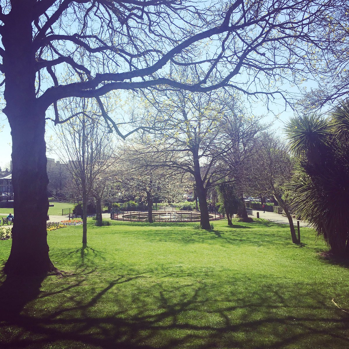 Fay_Powell09's tweet photo. Beautiful day, lots of yummy food purchased from #eatweston      Picnic in our beautiful Grove Park #WestonSuperMare https://t.co/GRKEGM695Z