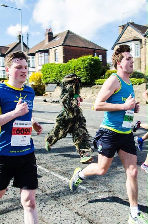 It's Sheffield half marathon tomorrow, I might get the ghillie suit out again, though it's going to be a hot day. #training #committedinov8
