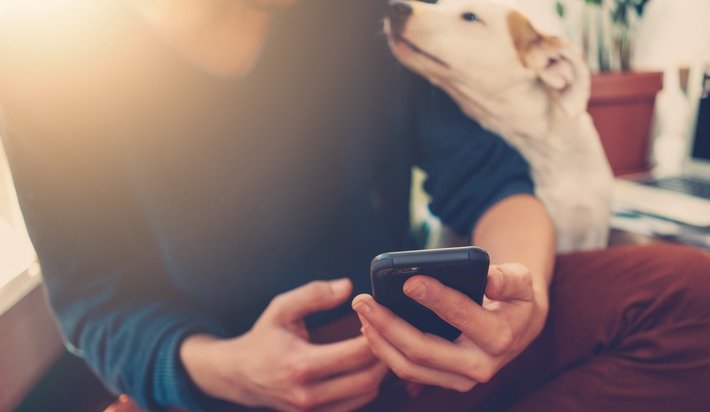 FragalaScapes's tweet image. Want to learn more about maintenance and safety around the house? Sign up for the ne... otbd.it/T2q1l7