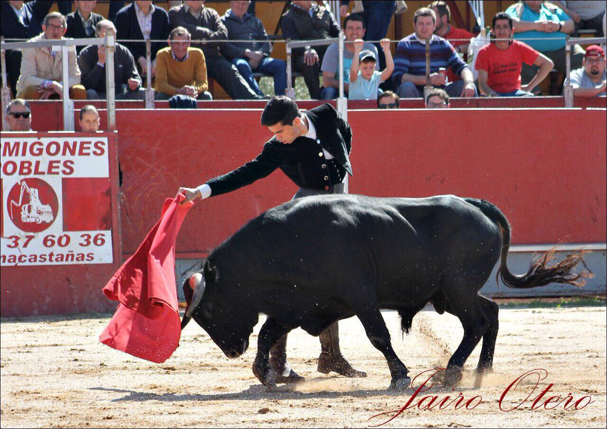 Fotos del Vlll Bolsín Taurino Villa de Candeleda. Gracias Jairo Otero por tu aportación.
