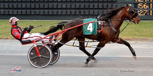 trotinsider's tweet photo. Counting down the top contenders: no. 7 in Trot's 2017 Pepsi #NACup Spring Book https://t.co/ZqbzI75a8R https://t.co/R5NVkvhswd
