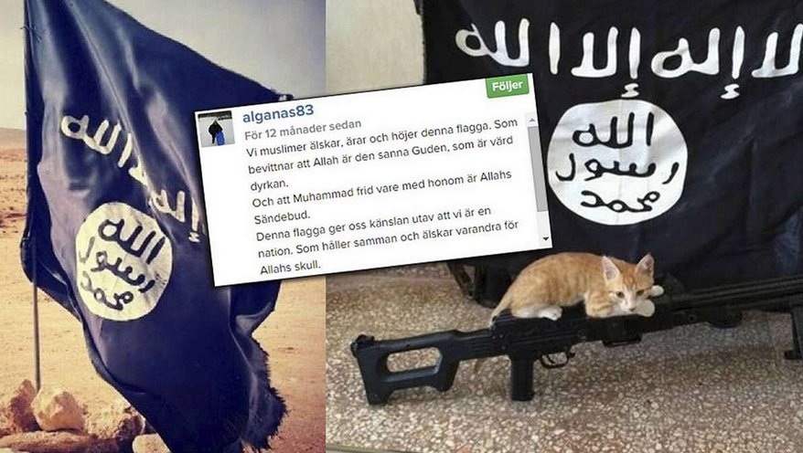 Gargameln's tweet photo. @katjanouch Bara vi visar kärlek och tolerans... https://t.co/GchhNKmHGu