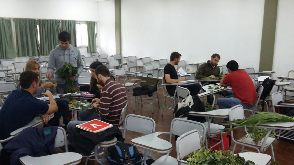 Lab de Fito UCC tweet media