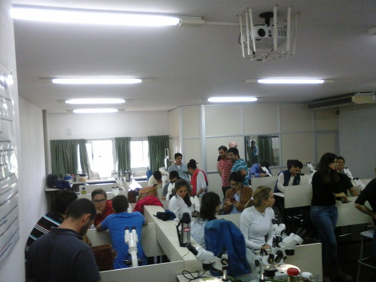 Lab de Fito UCC tweet media