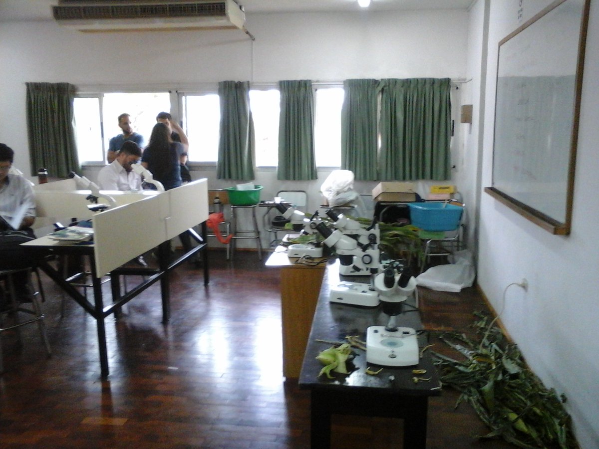 Participando en las Actividades Docentes la Especialidad en Prot Vegetal de la UCC