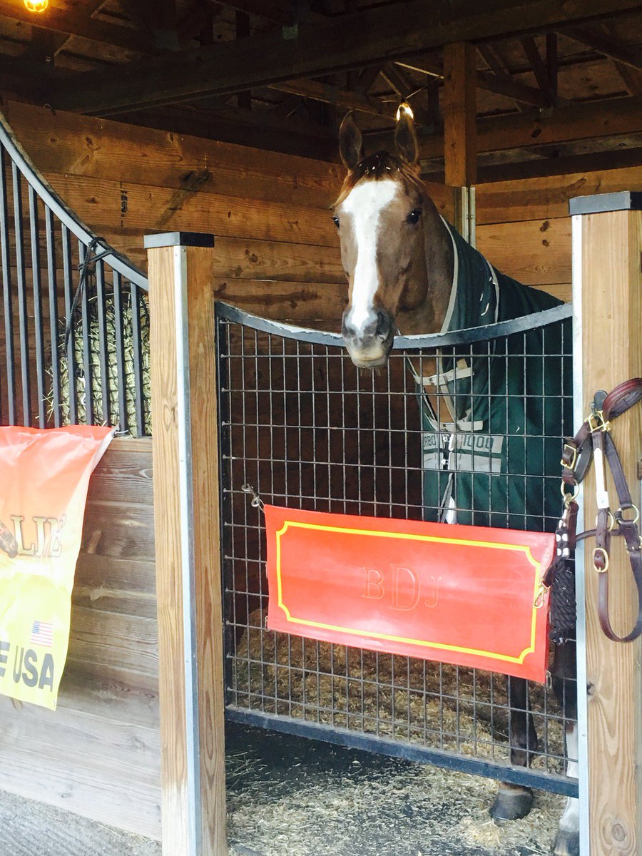 BDJEventing's tweet photo. No Remorse enjoying her view at Chatt Hills https://t.co/iJLDSQ0ES8