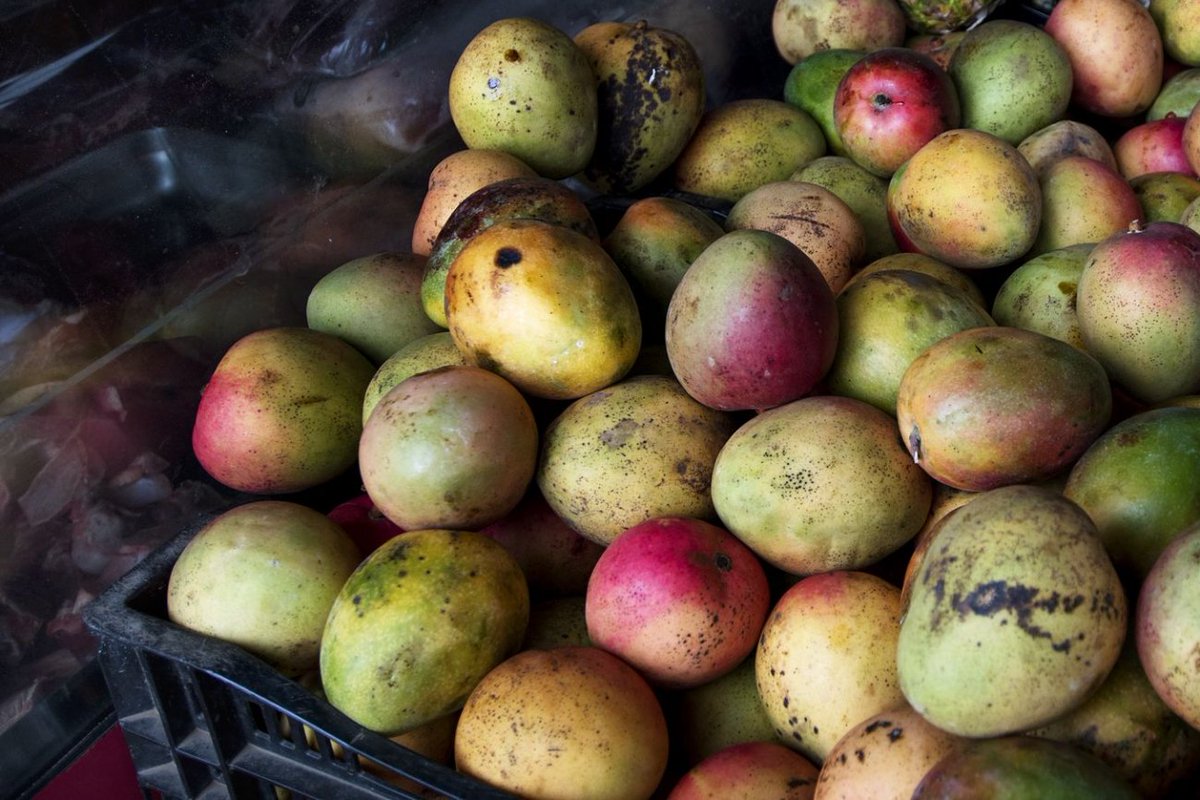 Taahakhalid's tweet image. What You Can Learn About Business From a Mango Vendor in Fiji dlvr.it/NrCBZc #Employee_Experience