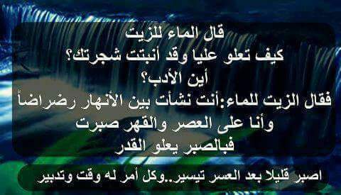 SaraNehal's tweet photo. https://t.co/JF8fx9CrwA