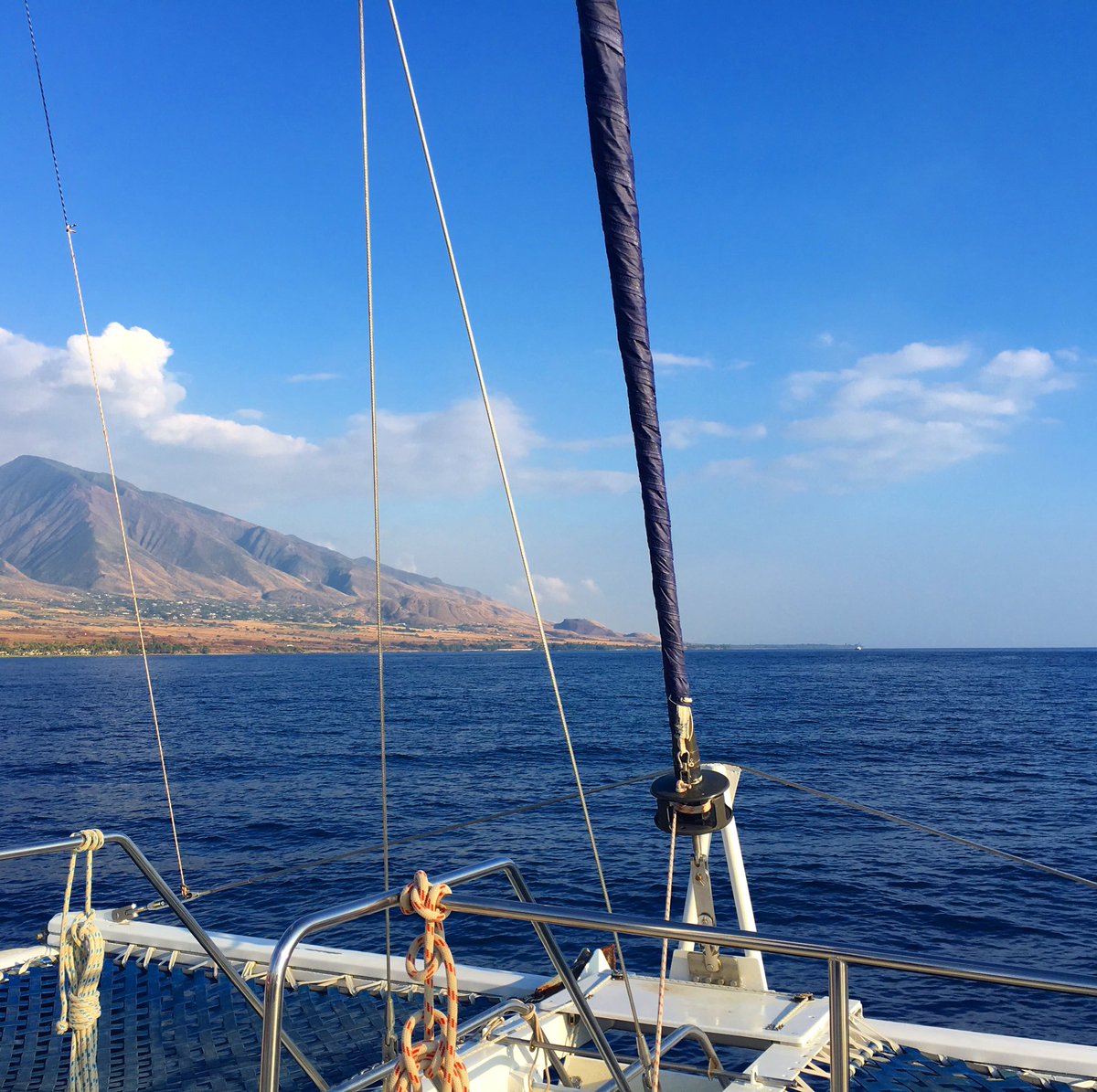mauiactcon's tweet photo. Sailing into the weekend like... #maui #mauiactivityconcierge #lahaina https://t.co/WkQwOeuCte