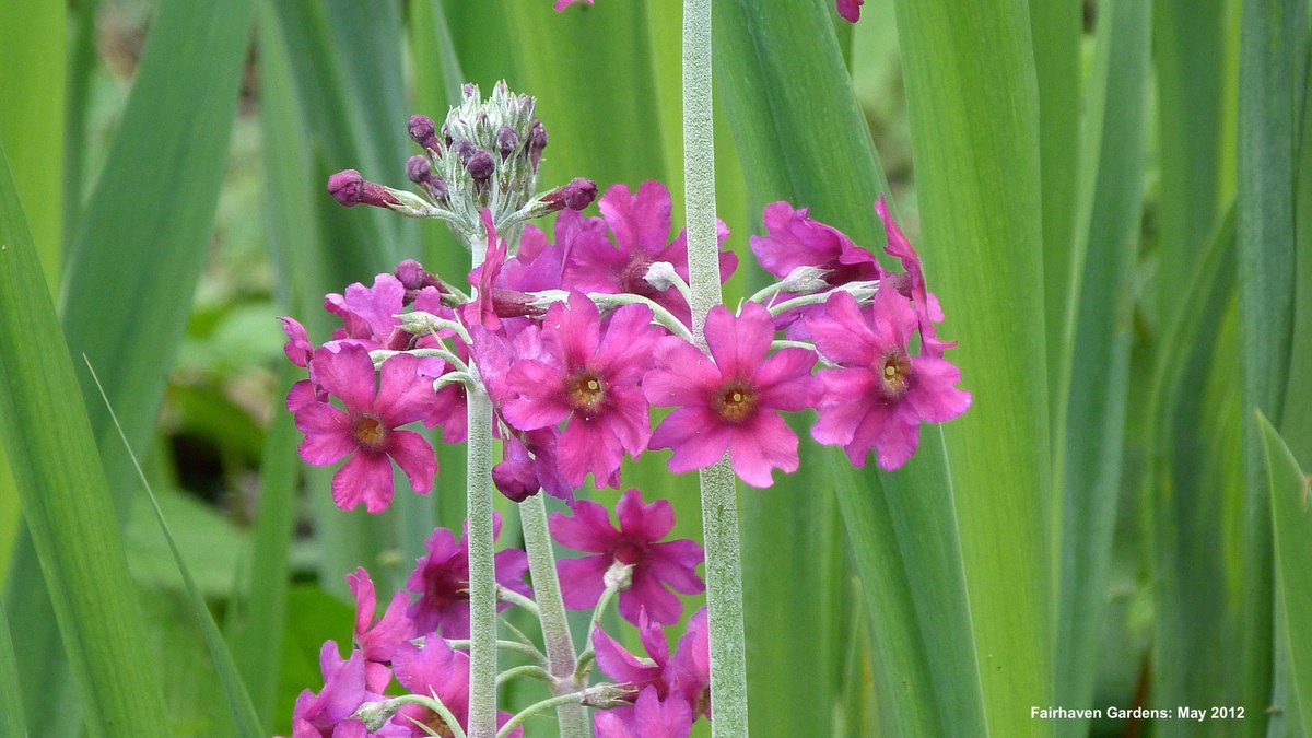 broadsspiritual's tweet photo. Broads
Springing forward with
so much beauty unfolding
each and every day

Hope is about us
all remembering that "the
best is still to come" https://t.co/V9DhngMue6