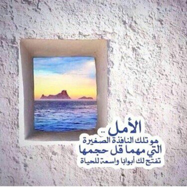 Bint Sultan (@redbint955) on Twitter photo 