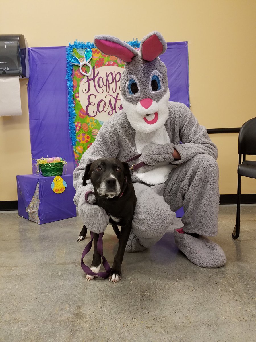 PetSmart LaPlace tweet media