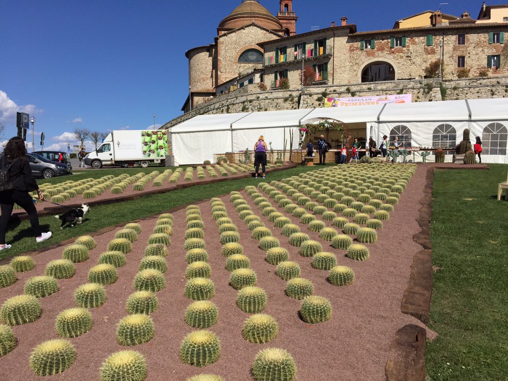 #festadiprimavera a Castiglione del Lago ~ #umbria #италия #italy